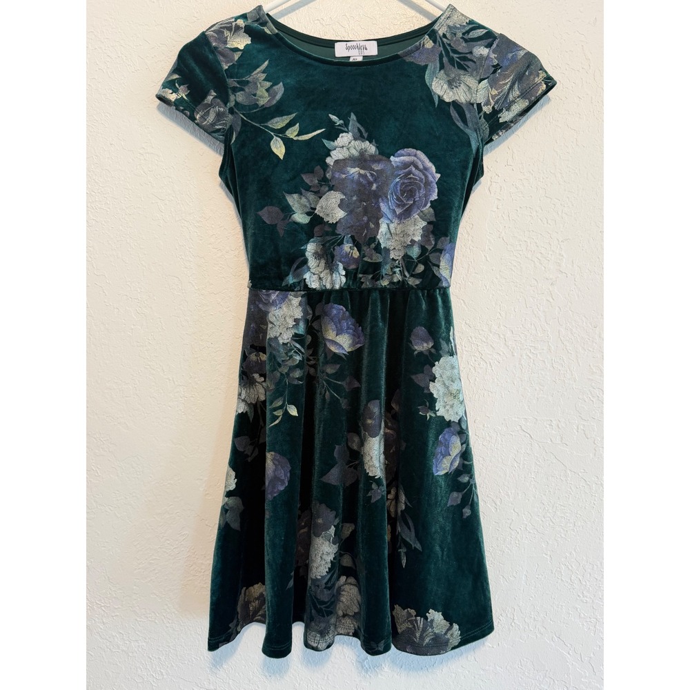 Speechless Kids Green Velvet Floral Skater Dress Girls Size 10 C4054D01DE47